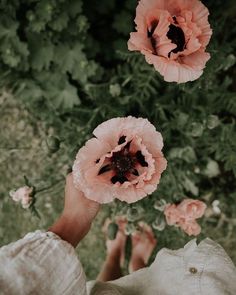 two pink flowers are in the air above a person's hand and feet, with green foliage behind them