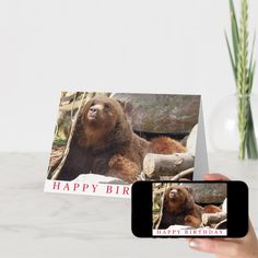 a person holding up a card with a bear on it and an iphone next to it