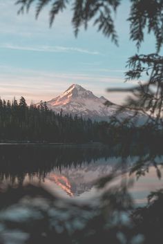 a mountain is seen through the branches of a pine tree in front of a lake