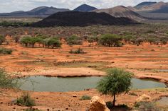 a small pond in the middle of a desert