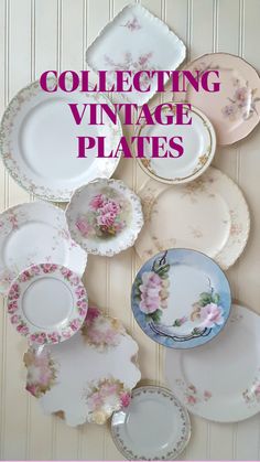 an assortment of china plates and saucers on a wall