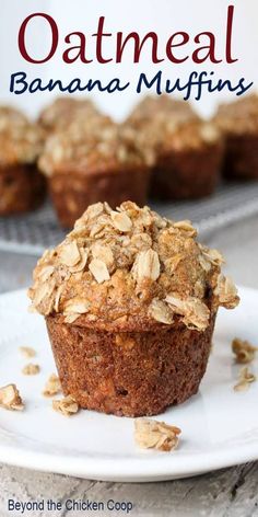 a close up of a muffin on a plate with oatmeal in the background