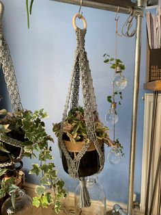 two hanging planters filled with plants on top of a wooden table next to a blue wall