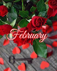 a bunch of red roses sitting on top of a wooden table with the word february written in it