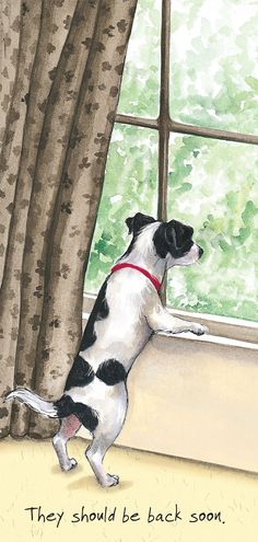 a black and white dog standing on its hind legs in front of a window with the words they should be back soon