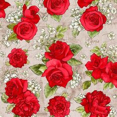 red roses and baby's breath flowers are on a beige background with green leaves