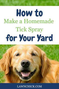 a dog laying in the grass with text overlay how to make a homemade tick spray for your yard