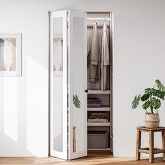 an open closet with clothes hanging on the door and a potted plant next to it