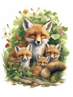 a group of foxes sitting in the grass