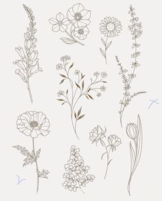 an image of flowers drawn in pencil on paper