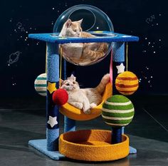 two cats laying in a cat tree with balls and stars on the floor next to each other