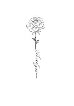 a drawing of a rose with the word love written in cursive writing on it