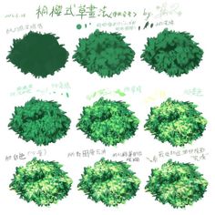 various types of trees in different languages