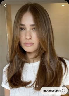 Honey Brown Hair, Brown Hair Looks, Long Brown Hair, Medium Length Hair Cuts