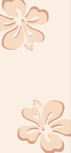 an image of two flowers on a white background with pink and beige colors in the middle