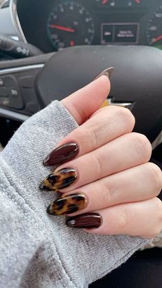 Elevate your style with tortoiseshell nails featuring subtle highlights for added dimension and glow. Perfect for a sophisticated, modern look! 🐢💛 #TortoiseshellNails #ChicManicure #NailArtGoals 💅✨ Short Nails Tortoise, Tortoiseshell Fall Nails, Trendy Minimalist Nails Fall, Calico Nails Design, Cherry Tortoise Nails, Short Nails Winter 2024, Nail Art Complicated, Simple Thanksgiving Nails Short, Plade Nails Fall