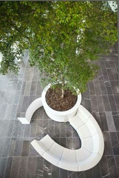 a tree in a white planter sitting on top of a tiled floor