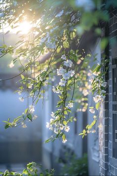 the sun shines through the leaves and branches of a flowering tree in front of a brick building