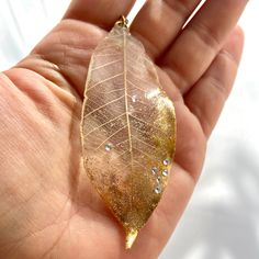 a hand holding a gold leaf with water droplets on it's leaves are shown in the foreground