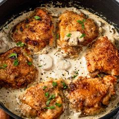 Perfect Weeknight Meal: Creamy Mushroom Chicken Thighs Chicken Thigh Recipes Cream Of Mushroom, Chicken Thigh Recipes With Cream Of Mushroom Soup, Chicken Thigh With Cream Of Mushroom, Chicken Thigh Cream Of Mushroom, Chicken With Cream Of Mushroom, Creamy Chicken Mushroom Pasta