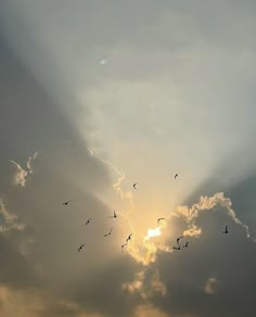 a flock of birds flying in the sky at sun set with clouds and sunbeams