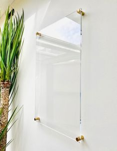 there is a potted plant next to a white wall with a mirror on it