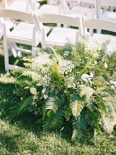 white chairs are set up in the grass for an outdoor wedding ceremony with ferns and hydrangeas