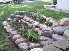 there is a rock garden in the yard