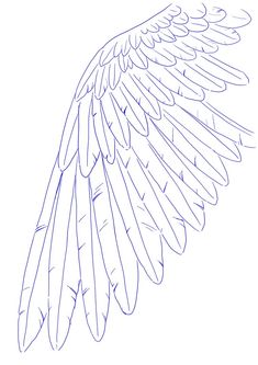 a drawing of an angel wing on a white background