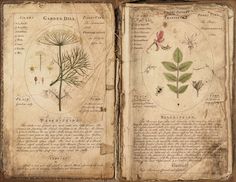 an open book with drawings and plants on it