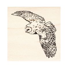 a drawing of an owl flying in the sky