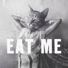 a black and white photo of a cat with the words eat me on it