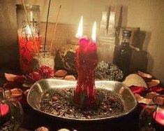 three candles are lit in a bowl surrounded by shells and seashells on the table