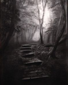 a black and white photo of steps in the woods