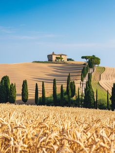 an image of a farm house in the middle of a field with trees and bushes