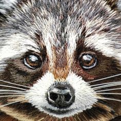 the face of a raccoon painted with colored pencils