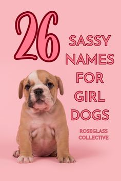 puppy names female unique Unique Puppy Names