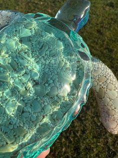 a close up of a person holding a glass turtle