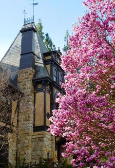 a large building with a tower next to some trees