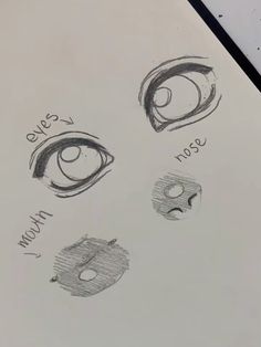 the drawing shows different types of eyes