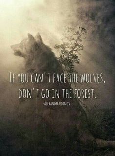 a wolf with the quote if you can't face the wolves, don't go in the forest