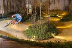 a man riding a bike down the side of a wooden ramp in front of trees