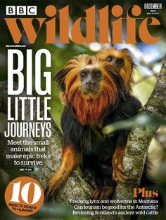 the front cover of wildlife magazine