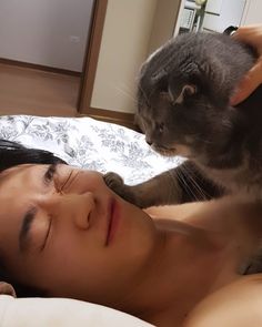 a woman laying on top of a bed next to a cat