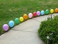 there is a long line of balloons in the grass