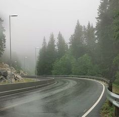 an empty road in the middle of a forest on a foggy, overcast day