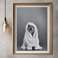 a black and white photo of a dog wrapped in a blanket with a light bulb hanging above it