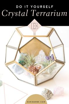 an air plant in a glass terrarium with the text do it yourself crystal terrarium