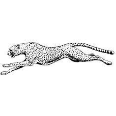 a black and white drawing of a cheetah running in the air with its tail spread