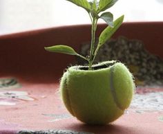 a tennis ball shaped planter sitting on top of a red cloth covered tablecloth